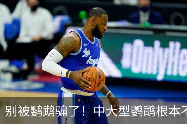 别被鹦鹉骗了！中大型鹦鹉根本不是宠物，是会飞的野生猛禽！
