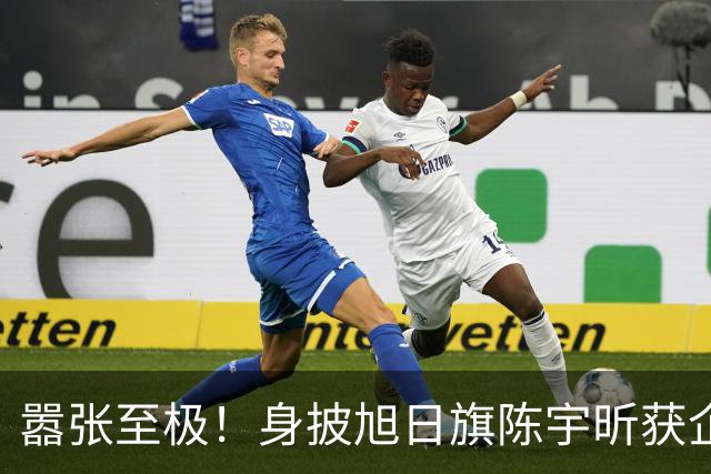 嚣张至极！身披旭日旗陈宇昕获企业公开支持：一起披！汤家凤痛斥