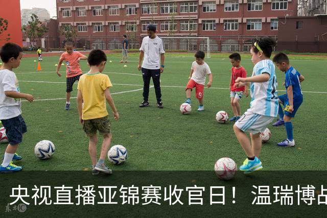 央视直播亚锦赛收官日！温瑞博战张本智和，四线中日对决扎堆