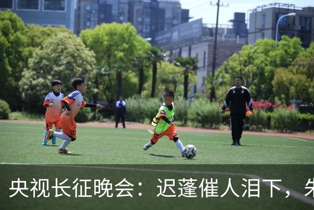 央视长征晚会：迟蓬催人泪下，朱亚文热血沸腾，李雪健震撼全场！
