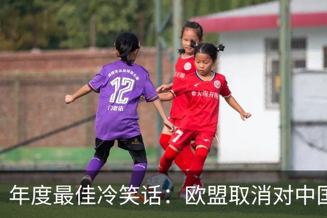年度最佳冷笑话：欧盟取消对中国光伏玻璃收反倾销税