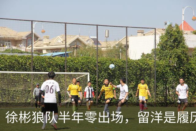 徐彬狼队半年零出场，留洋是履历镀金，还是成下一个何小柯？