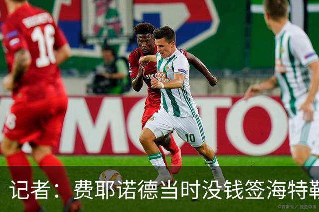 记者：费耶诺德当时没钱签海特勒伊达